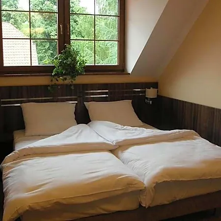 Belfer Hotell Zaniemyśl