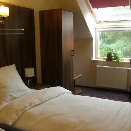 Belfer 2* Zaniemyśl